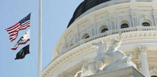 Flags and statue outside government building dome