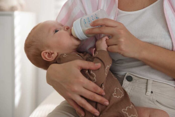 shutterstock_2706235473 (1)