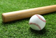 A baseball and a wooden bat resting on green grass