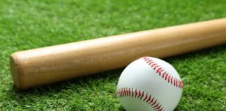 A baseball and a wooden bat resting on green grass