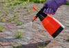 Person spraying weeds with a red and black spray bottle on a brick surface