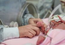 A caregiver gently holding the hand of a premature baby in a hospital incubator
