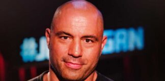 Close-up portrait of a man with a shaved head and a slight smile