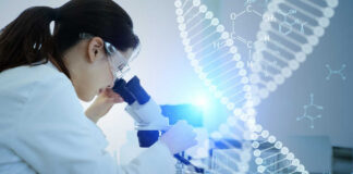 Scientist examining a sample under a microscope in a lab