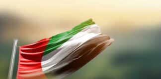 Flag of Sudan waving in the wind against a blurred background