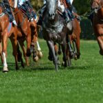 A group of horses racing on a grassy track with jockeys