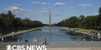 Timeline of Lincoln Memorial Reflecting Pool issues amid Trump makeover