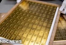 Fake Spy Program, Real $40M Gold Former CIA officer accused of stashing 300 gold bars in his house