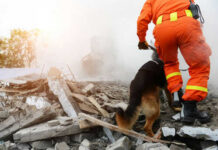 Rescue worker and dog searching rubble debris