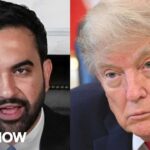 'PATRIOTISM is every act of righteous dissent.' Mamdani GOES AT Trump on America 250th speech