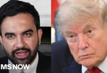 Trump Allies Push Citizenship Debate Further 'PATRIOTISM is every act of righteous dissent.' Mamdani GOES AT Trump on America 250th speech