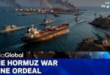 India Pulls Sailors From Hormuz Danger Zone Inside the Strait of Hormuz: Indian Captains Reveal What It's Like to Sail Through a War Zone