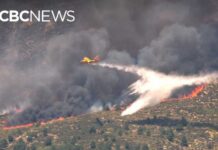A Tourist Paradise Turned Into An Escape Route Over 250,000 people evacuate as wildfires threaten parts of France, Spain