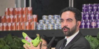 Mamdani reveals details about city-run grocery stores