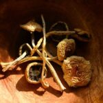 Trump Speeds Hope For Struggling Veterans Dried mushrooms arranged in a wooden bowl