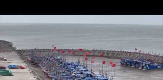 Eastern China braces for Typhoon Dolphin