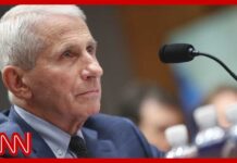 Stunning Shutout: Fauci stonewalls Senators Dr. Fauci pleads Fifth over 70x at heated Covid hearing