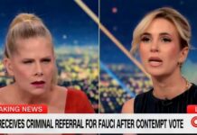 CNN Panel Explodes Over Fauci