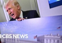 Appeals court blocks construction of Trump's White House ballroom