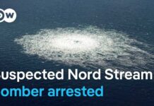 Nord Stream Mystery Is Getting More Complicated Ukrainian man arrested in Croatia over Nord Stream pipeline sabotage | DW News