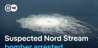 Ukrainian man arrested in Croatia over Nord Stream pipeline sabotage | DW News