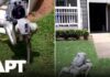 Atlanta Replaces Human Guards With Robot Dogs to Fight Crime | APT