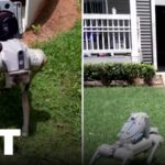 Atlanta Replaces Human Guards With Robot Dogs to Fight Crime | APT