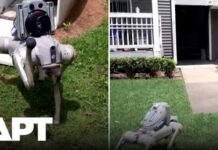 Robot Dogs Are Replacing Overnight Security Guards Atlanta Replaces Human Guards With Robot Dogs to Fight Crime | APT