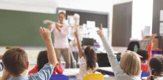 Elementary students raise hands in a classroom