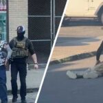 ICE Activity Escalates in Connecticut as Multiple People Detained