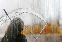 person with clear umbrella seen through a rainy window