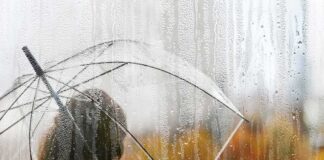 person with clear umbrella seen through a rainy window