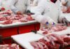 Washington Says No Raids. Ranchers See Trouble Butchers cutting raw meat on processing line