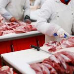 Washington Says No Raids. Ranchers See Trouble Butchers cutting raw meat on processing line