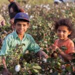 Internet Meltdown, USDA Reality Check children in a cotton field
