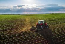 America’s Breadbasket Is Feeling a Brutal Squeeze Red tractor plowing a green crop field at sunset