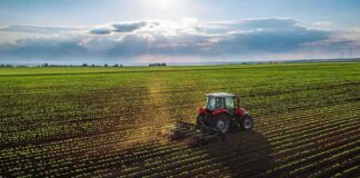 Red tractor plowing a green crop field at sunset