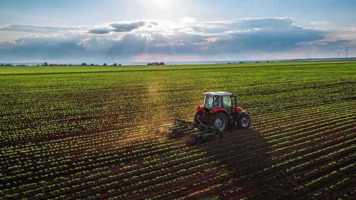 Red tractor plowing a green crop field at sunset