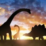 Stegosaur Skull Mystery: True Evolution Shake-Up? dinosaur silhouettes at sunset