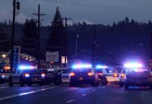 Double Homicide Shocks Family Resort Police cars with flashing lights block a road at night