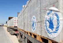 Funding Collapse Triggers Famine Spiral Humanitarian aid trucks loaded with palletized supplies