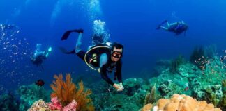 Scuba diver exploring a coral reef