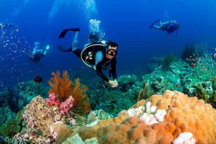 shutterstock_1501395533 Scuba diver exploring a coral reef